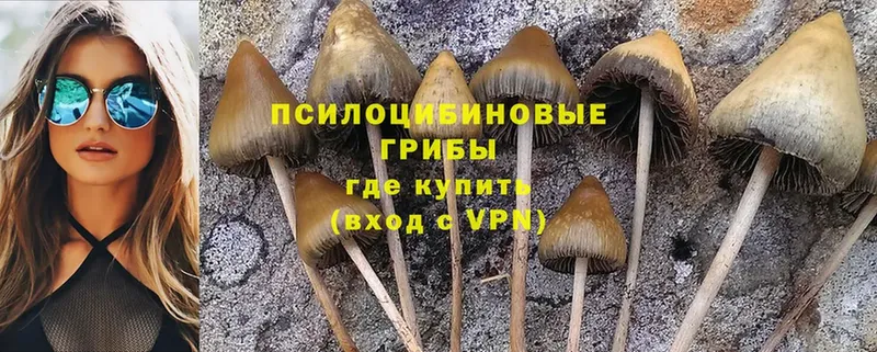 Псилоцибиновые грибы MAGIC MUSHROOMS  мега вход  Армавир  наркота 