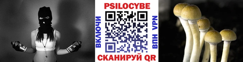 Галлюциногенные грибы Magic Shrooms  Армавир 