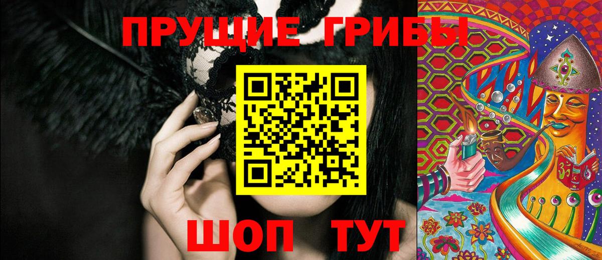 Псилоцибиновые грибы Cubensis  где купить наркоту  Армавир 